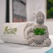 Recharge Wellness Center - Masaj, salina, oxigenoterapie hiperbara, consultatie nutritie, vitaminizare, medicina sportiva